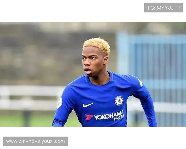 凯尔特人拟在北美设立品牌推广与青训基地，拓展全球影响力