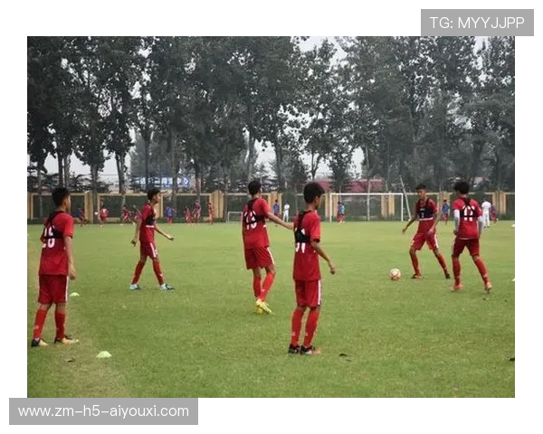 琜队如何建立青训资金的多元化来源,什么叫青训队 琜队如何建立青训资金的多元化来源,什么叫青训队