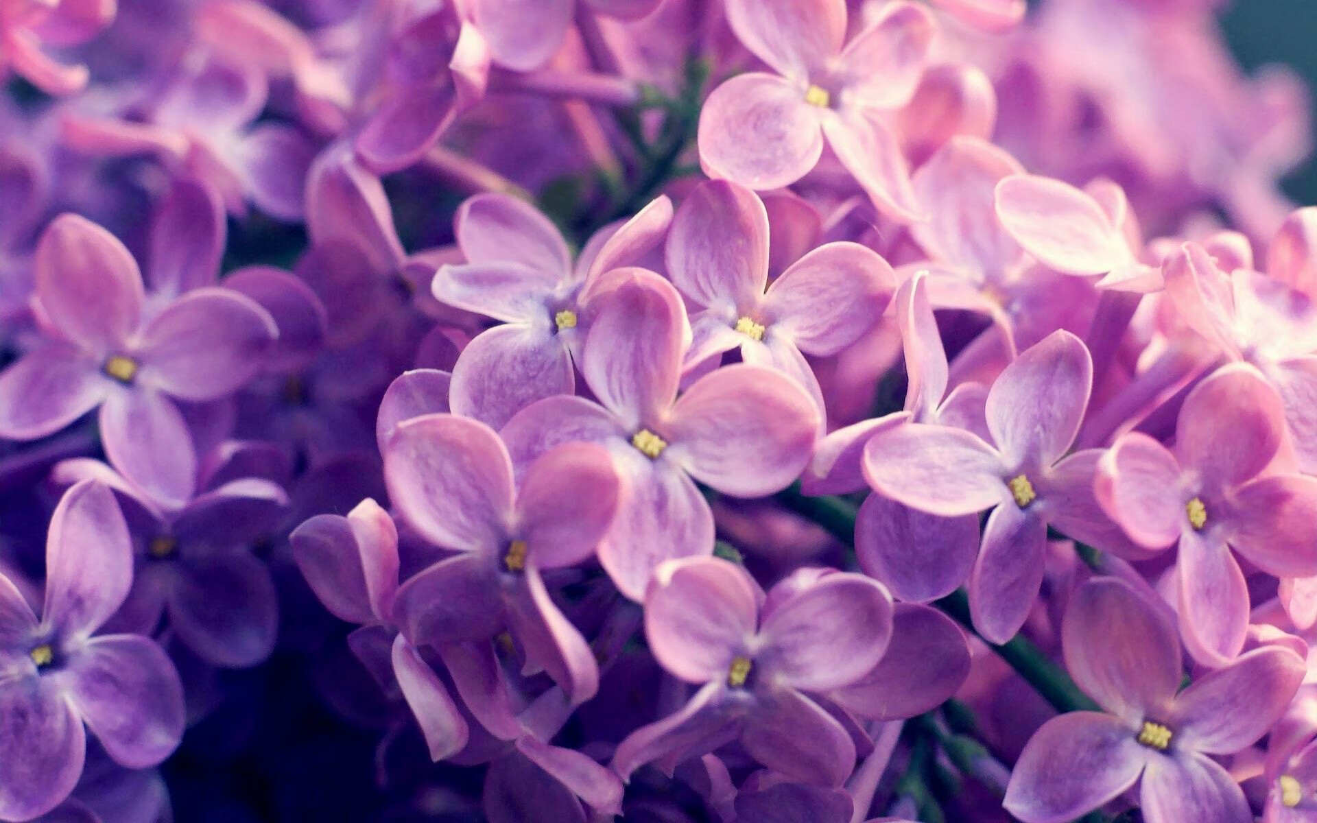 爱游戏官网充值-覃海洋泳姿优雅，技术精湛，覃海洋简介