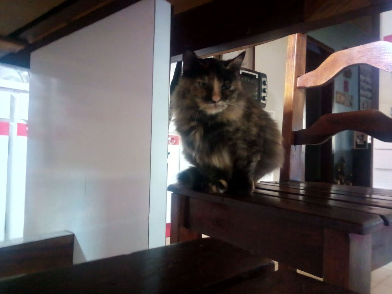 U22主帅安东尼奥：2030世界杯，中国一定冲！，安东尼奥中国足球