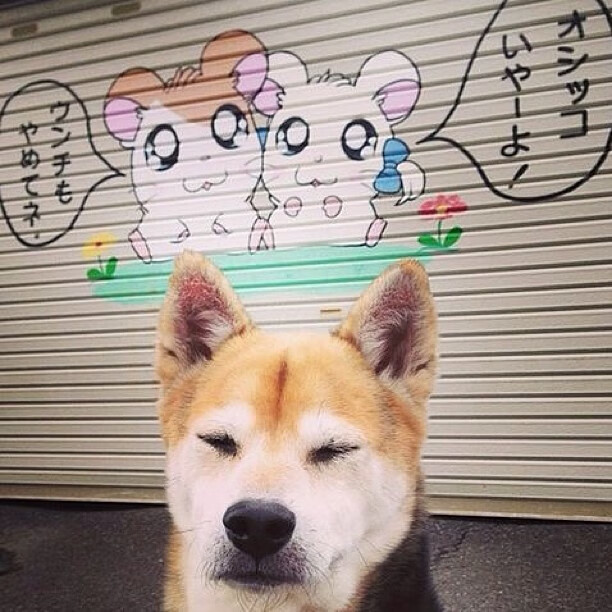 U22主帅安东尼奥：2030世界杯，中国一定冲！，安东尼奥中国足球